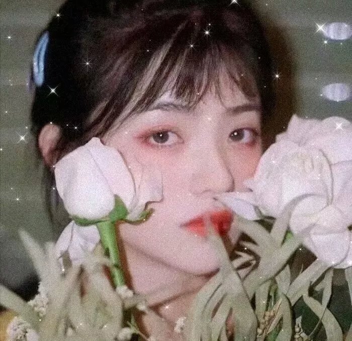 李时你是真顽皮